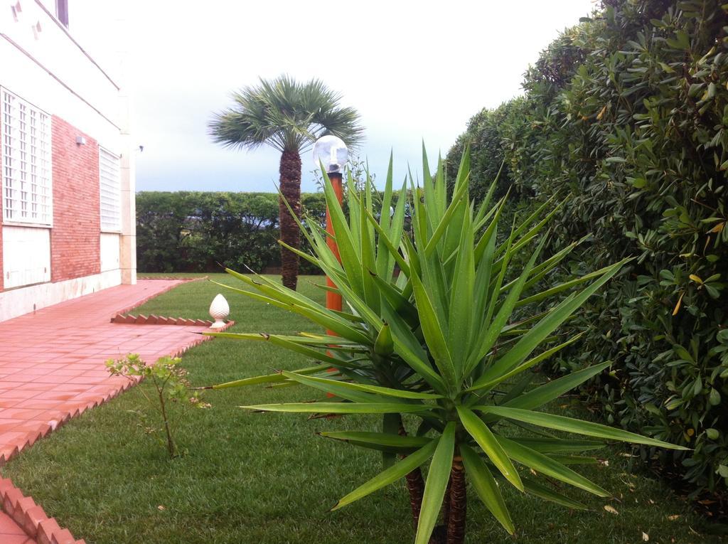 Villino Dei Coralli Lido di Ostia Habitación foto